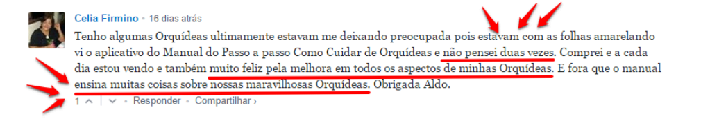 Como cuidar de orquídeas