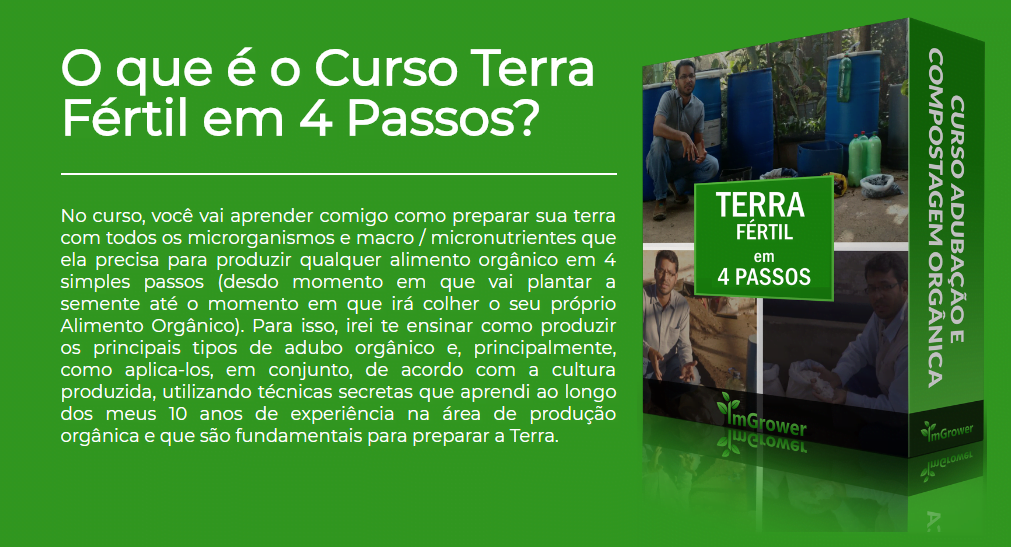 Terra-Fértil-em-4-Passos Como fazer uma horta orgânica: o Curso Terra Fértil em 4 Passos te ensina
