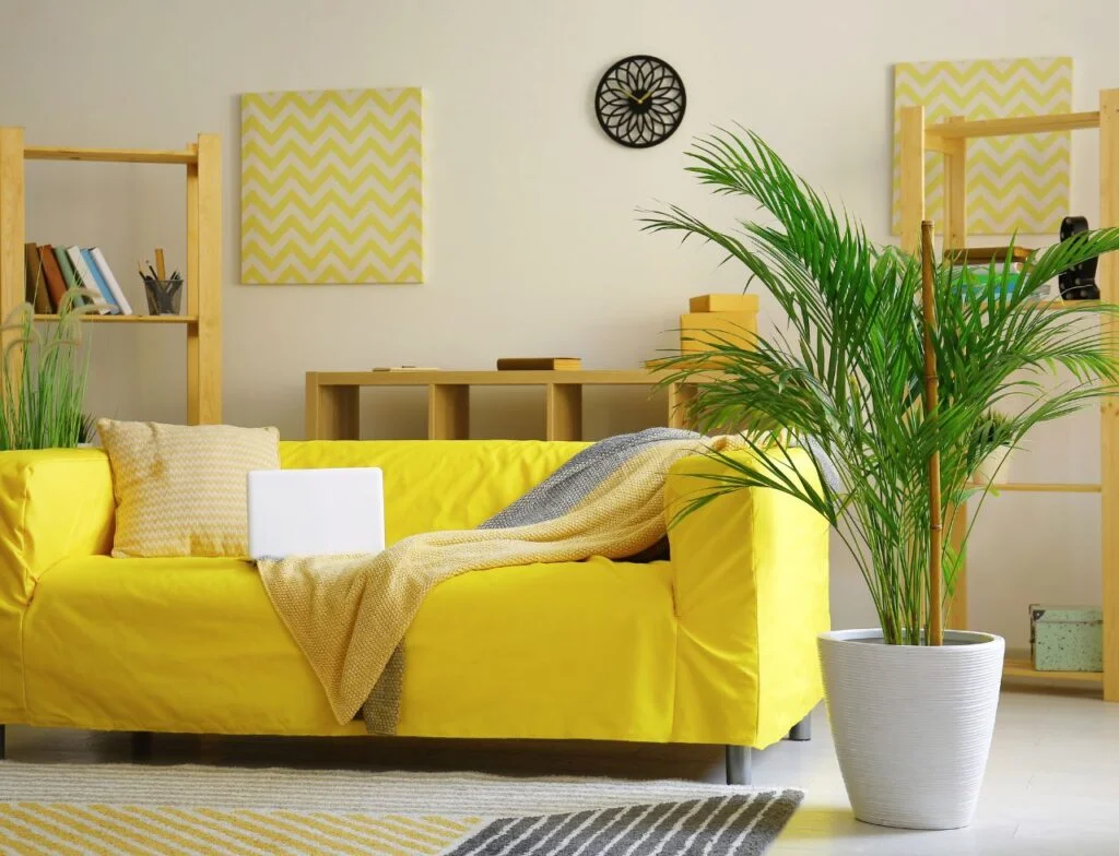 Areca-Plantas-que-purificam-o-ar-1024x784 17 plantas para ambiente interno, que ajudam a purificar o ar dentro de casa