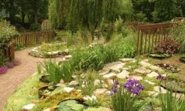 Plantas Ornamentais Guia Completo Para Transformar Seu Jardim