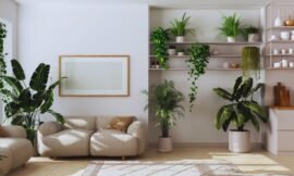 11 Plantas Para Sala De Estar Que Atraem Sorte, Dinheiro e Prosperidade