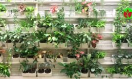 Jardim Vertical : Transforme Seu Espaço com Beleza e Praticidade